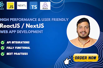 do react js, next js, typescript web app full stack development