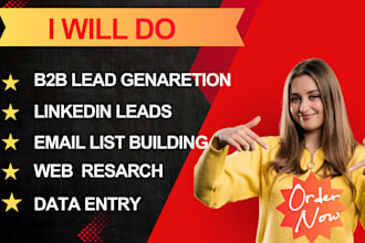 provide targeted b2b lead generation, linkedin lead and email address