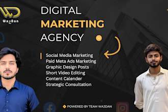 manage your social media marketing with strategy content and paid ads