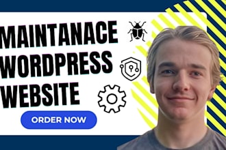 manage and maintain your wordpress website, fix bugs, website update, security