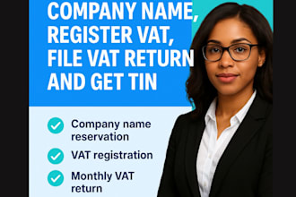 do company name reservation, vat registration, file vat return and get tin