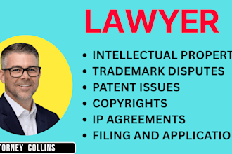 be intellectual property, trademark, patent and copyright infringement lawyer