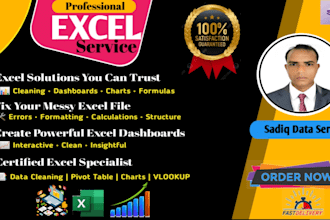 do excel data entry, formatting, spreadsheet cleanup professionally