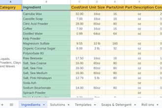 build or edit spreadsheets, as well as budget planning