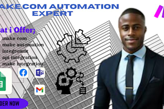 make com integromat automation expert API integration as a professional