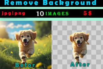 do background removal by adobe photoshop   jpg,png