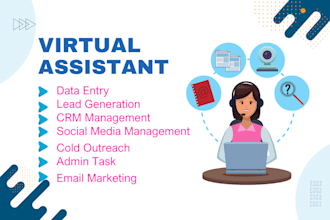 do virtual assistant for data entry, admin support, CRM setup, customer service