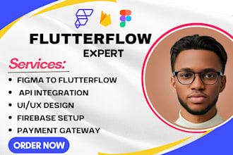 build flutterflow mobile app, flutterflow mobile app developer, app development