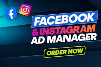 manage your facebook ads and set up meta pixel or conversions API
