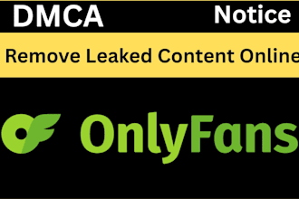 professionally remove your leaked content with dmca takedown