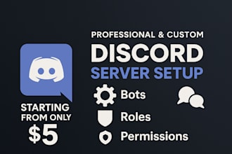 professionally set up your discord server