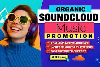do professional soundcloud promotion for music track