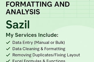 help you with professional excel tasks