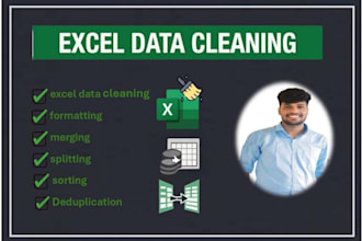 excel data cleaning formatting sortingdeduplication services