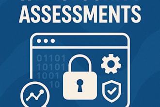 perform a web security assessment and report
