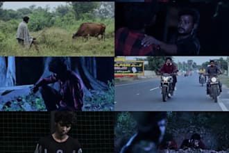 do cinematic event video editing ,expert color grading