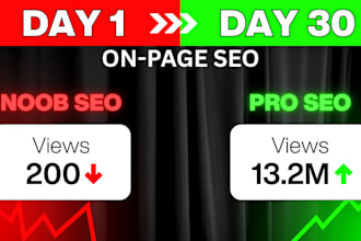 write on page SEO optimized meta title, meta description, meta h1 and alt tags
