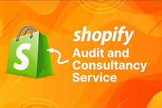 audit, revamp and redesign your shopify dropshipping store