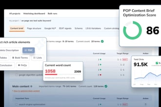 manage your online reputation and implementing reverse SEO