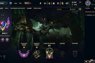 help you reach the elo you want in league of legends in solo or duo