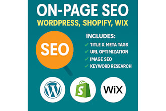 do on page SEO for wordpress, shopify, wix and any cms