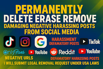 takedown harassing defamatory negative content tiktok,reddit,ig,fb,google x dmca