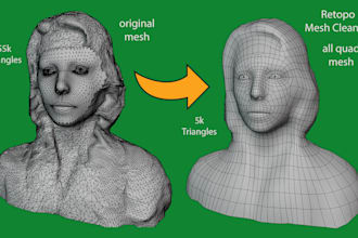 quickly retopologize and cleanup 3d model