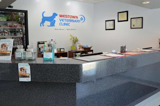 do 3d pet products, pet store, pet shop, veterinary clinic, pet house design