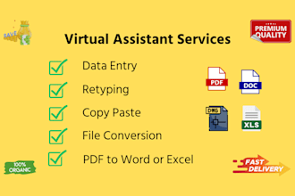 bulk data entry, copy paste, retyping, any file conversion