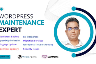 do wordpress website maintence service support update