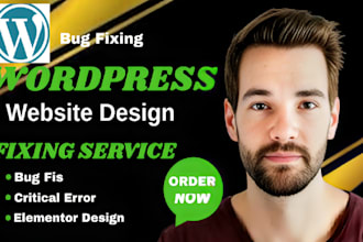 fix wordpress website issue bugs critical error and get expert elementor support