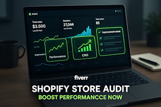 professionally audit and review your shopify store to boost conversions