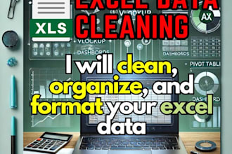 cleaning , formatting of excel data