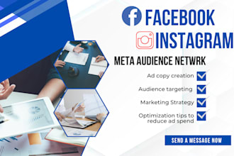 setup facebook instagram and audience network ads