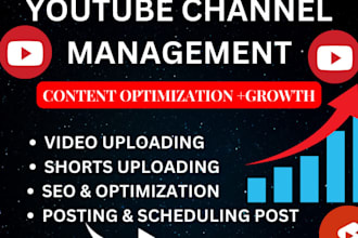 be your youtube manager for video SEO and channel growth