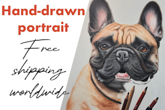 draw memorial pet portrait from photo