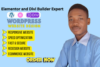 design a responsive wordpress website using elementor or divi builder