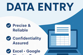 do fast and accurate data entry, copy paste, excel data formatting
