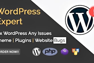 fix wordpress issues,theme and plugins update, customization