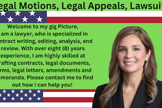 expertly draft divorce papers, petitions, motions, and lawsuits as your lawyer