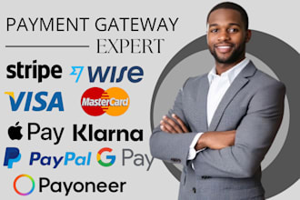 do stripe paypal klarna applepay wise payment integration for website store