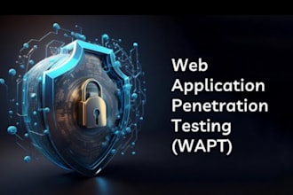 perform web application penetration testing