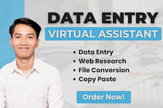 do data entry, copy paste, convert PDF, web research, and typing