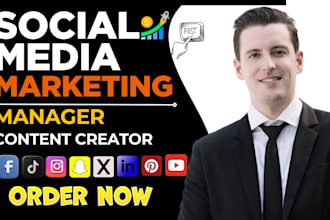 be instagram tik tok facbook ads social media marketing manager content creator
