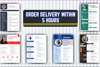 design infographic resume, CEO, cto, vp, director resume, or CV