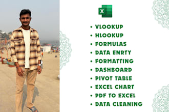 do data entry, chart, pivot table, formulas and formatting