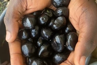 custom spell for love, business, protection, and black magic