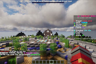 create a minecraft smp server for you