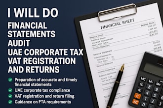 do financial statements, audit, uae corporate tax, vat registration and returns