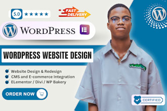 design responsive wordpress website on bluehost, godaddy, hostinger, siteground